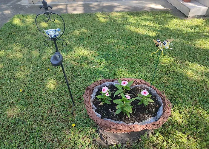 - Balaton 18389 * Balatonfenyves